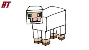 How to Draw Minecraft Sheep