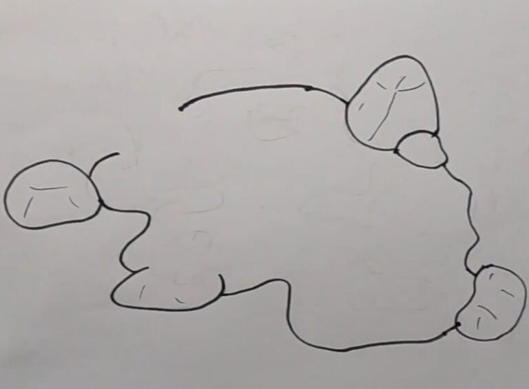 Beautiful pond Drawing Step by Step