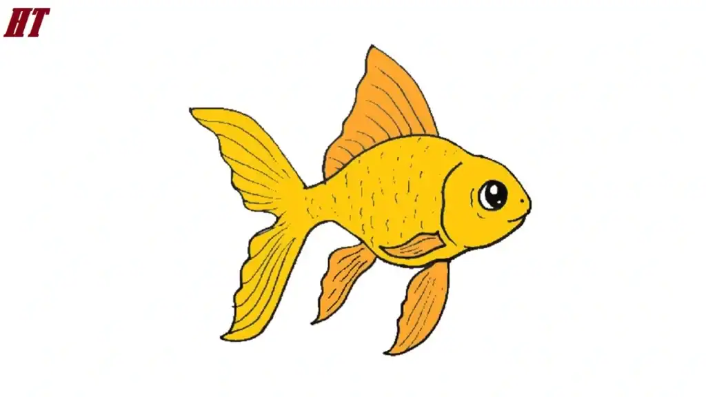 Colorful goldfish illustration with detailed fins and scales for art projects.