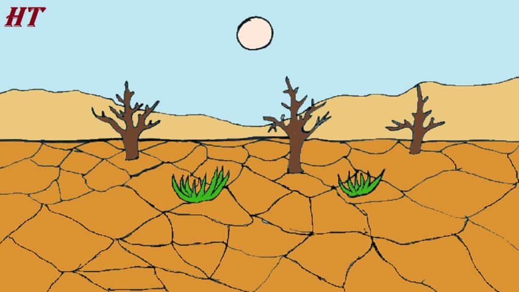 An illustration showing the process of drawing a desert landscape with cracked ground, sparse trees, and distant mountains.