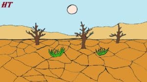 Drought Drawing easy
