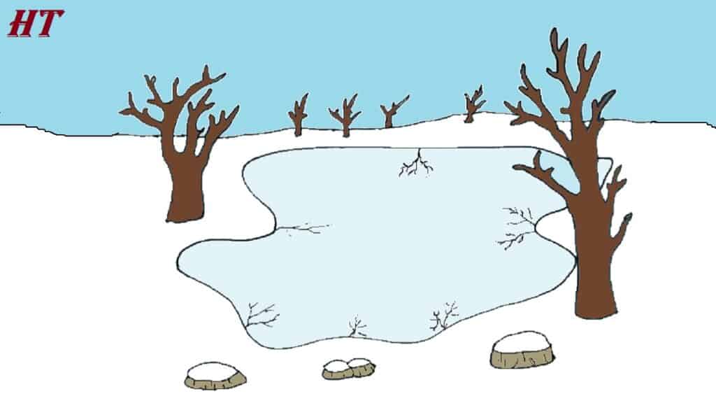 Simple illustration of a frozen lake with leafless trees, demonstrating how to draw a winter landscape step by step. Perfect for learning how to sketch icy outdoor scenes.