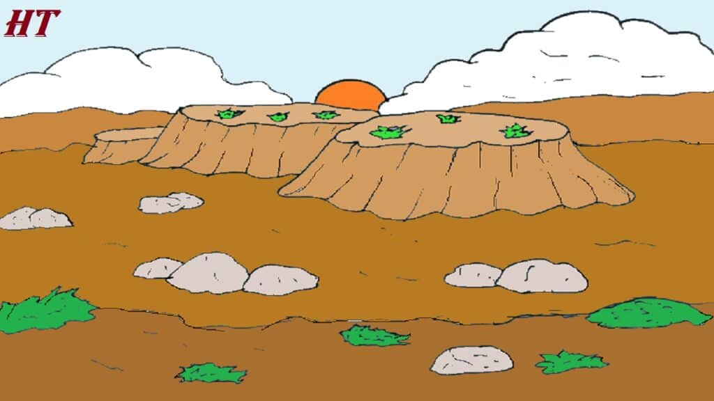 Step-by-step guide to drawing a desert plateau landscape with rocky formations, sparse vegetation, and a setting sun. Perfect for beginners learning landscape drawing techniques.