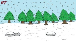 How to Draw a Blizzard