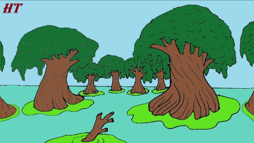 Step-by-step illustration of a swamp with large trees, smaller trees, and water patches, suitable for drawing tutorials.