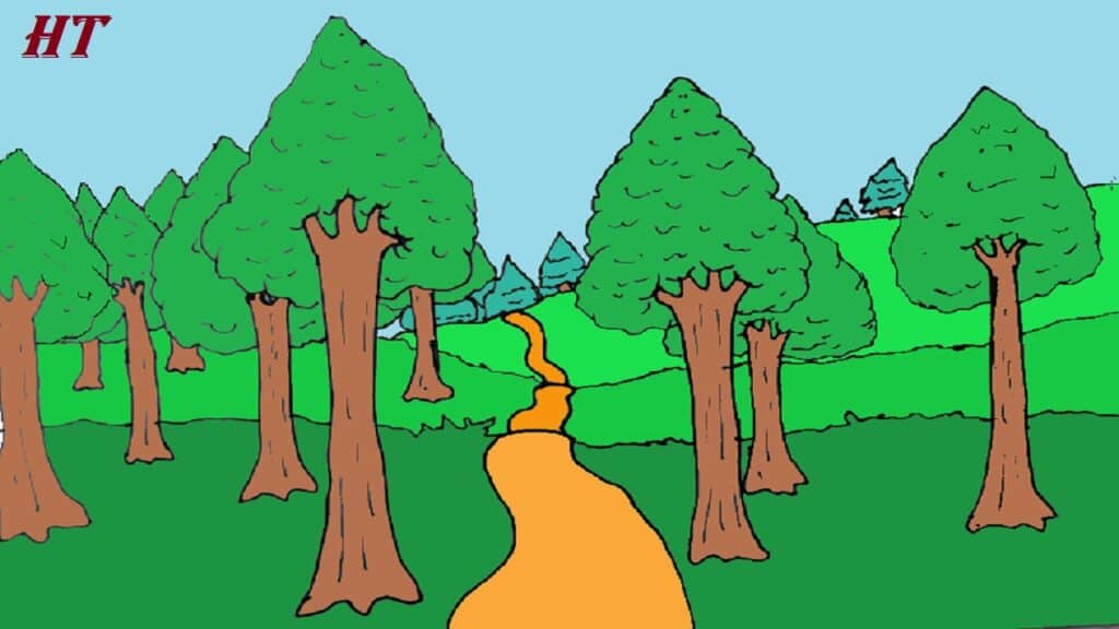 Step-by-step guide to drawing a forest trail with trees and a winding path, suitable for beginners and artists.
