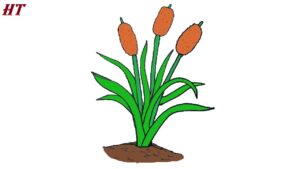 How to Draw Cattails