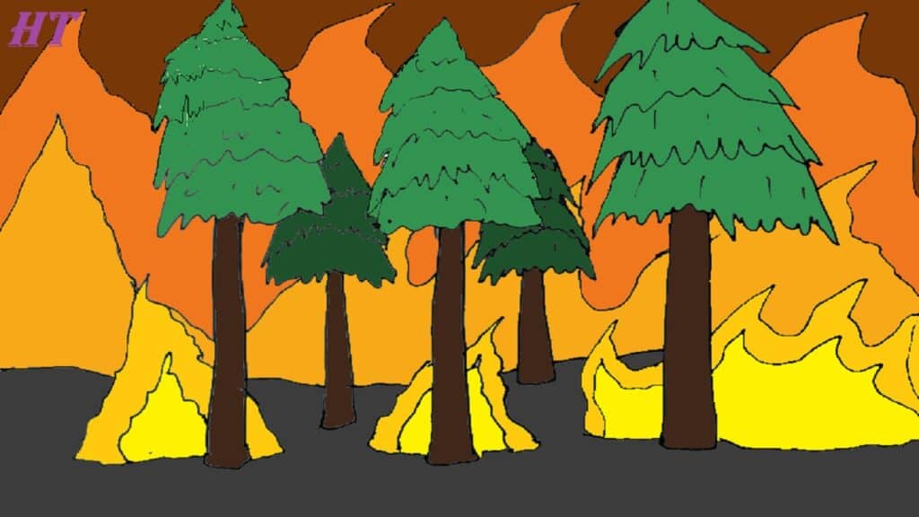 Step-by-step drawing of a forest fire with trees and flames, illustrating the process of creating a forest fire scenery artwork.